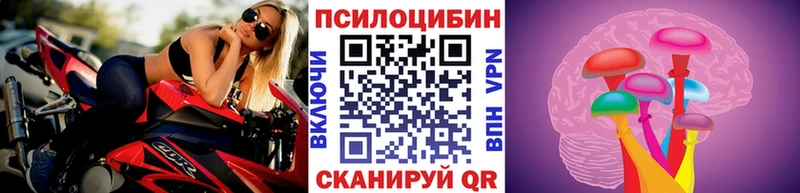 купить  сайты  KRAKEN зеркало  Галлюциногенные грибы мицелий  Видное 