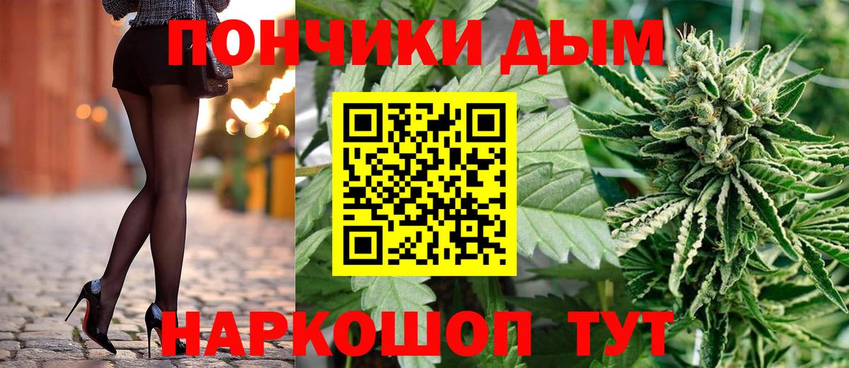 Каннабис конопля Видное